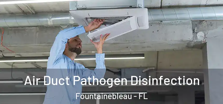 Air Duct Pathogen Disinfection Fountainebleau - FL
