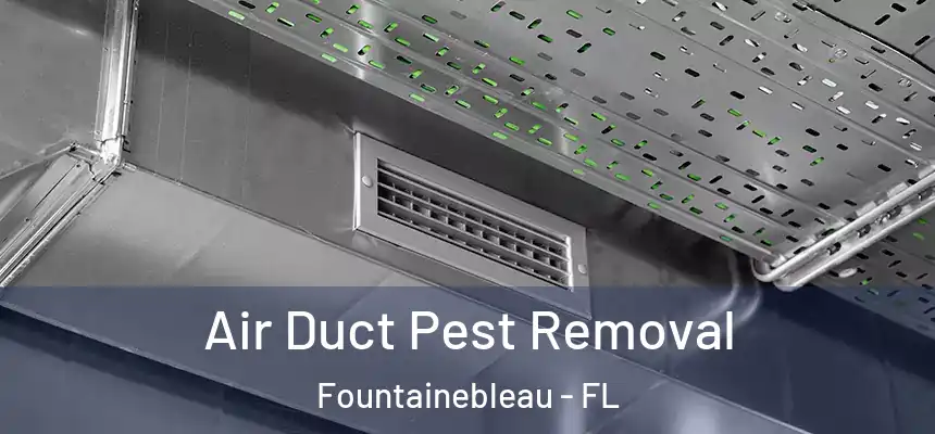 Air Duct Pest Removal Fountainebleau - FL