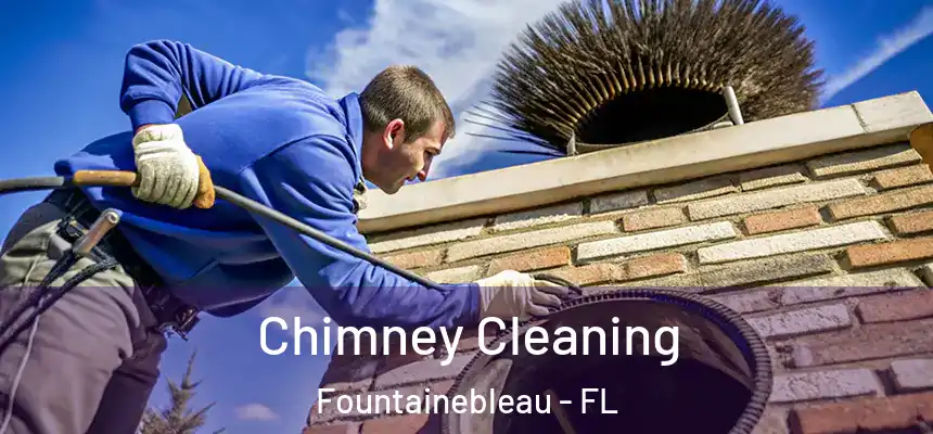 Chimney Cleaning Fountainebleau - FL