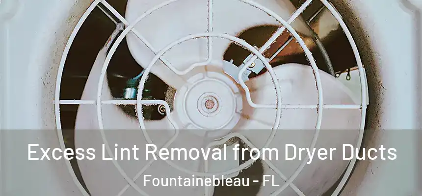Excess Lint Removal from Dryer Ducts Fountainebleau - FL