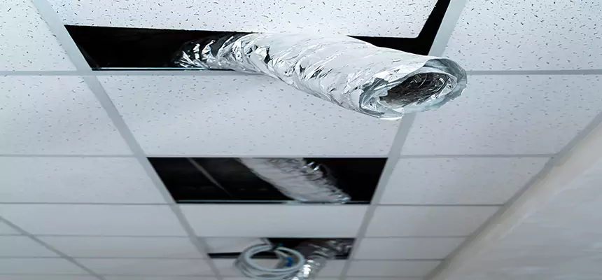 Affordable HVAC Sanitizing After Pest Removal in Fountainebleau