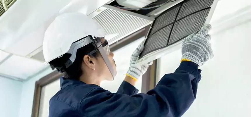 Our Mold & Mildew Removal from Air Ducts Services in Fountainebleau, FL