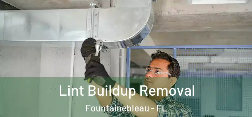 Lint Buildup Removal Fountainebleau - FL