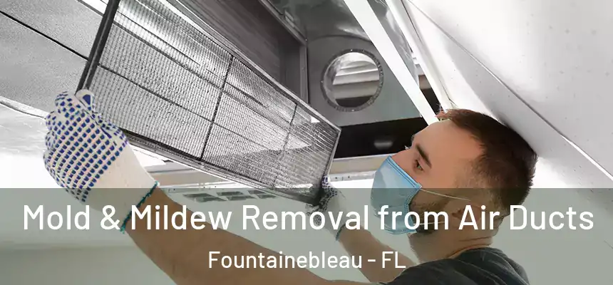 Mold & Mildew Removal from Air Ducts Fountainebleau - FL