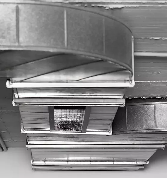 Professional Air Duct Pest Removal in Fountainebleau, FL