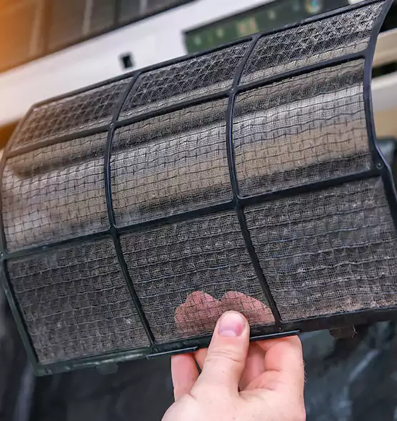 About Pet Dander Duct Cleaning in Fountainebleau, FL